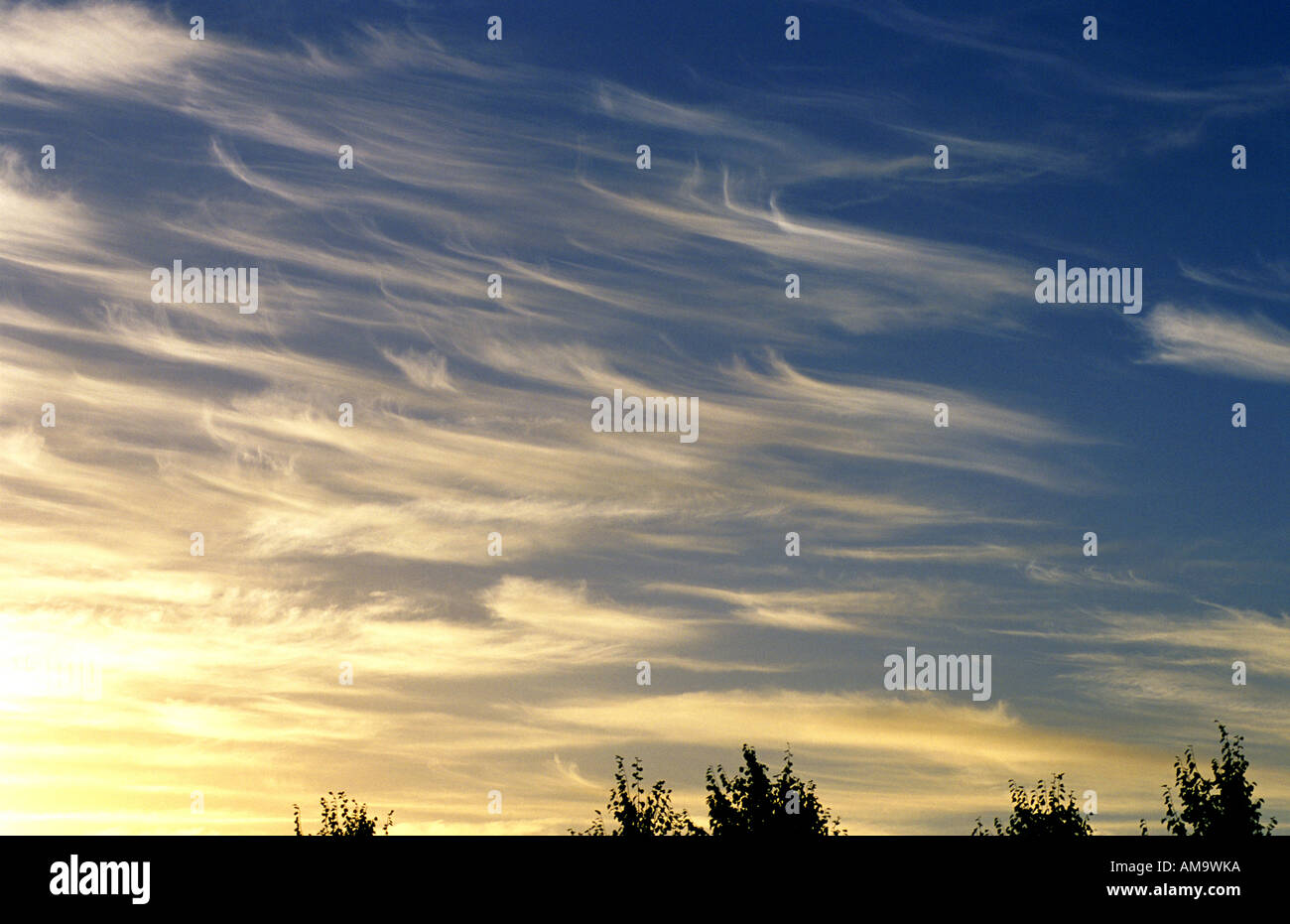 Sky with mare`s tails cirrus clouds, UK Stock Photo